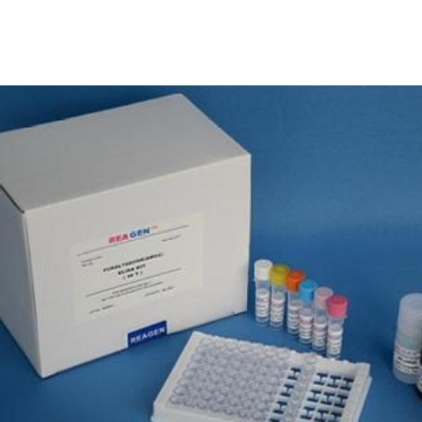 大鼠基质金属蛋白酶2/明胶酶A(MMP-2/GelatinaseA)Elisa试剂盒