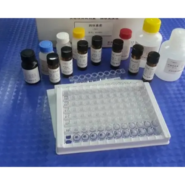 小鼠4-羟雌二醇(4-HE2)Elisa试剂盒