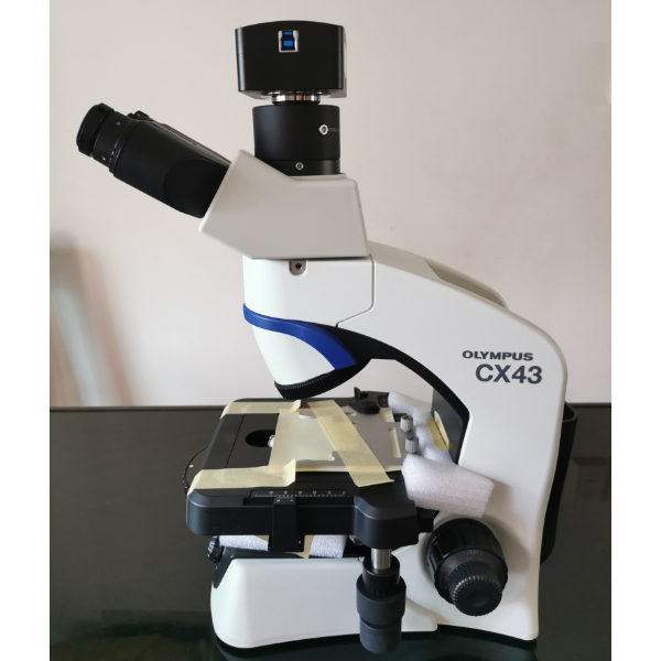 奥林巴斯CX43RF生物显微镜双/三目