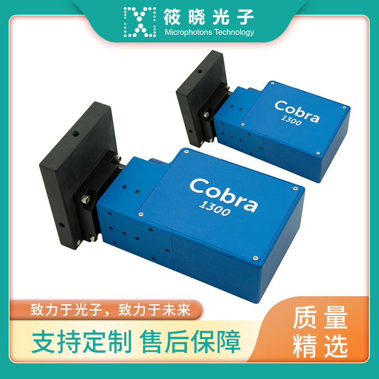 Cobra 1300 OCT 短波红外光谱仪 1262-1335nm 