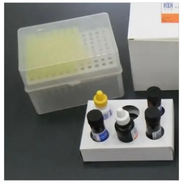 植物叶绿素(Chlorophyll)Elisa试剂盒