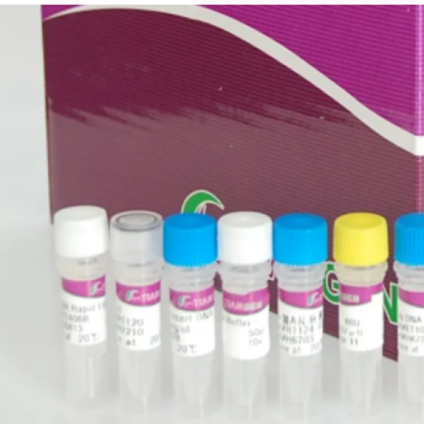 小鼠(KKmice)醛糖还原酶(AR)Elisa试剂盒