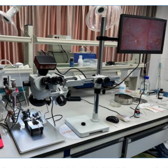 环岛生物HDB-ST-Mi1  可视化显微操作系统