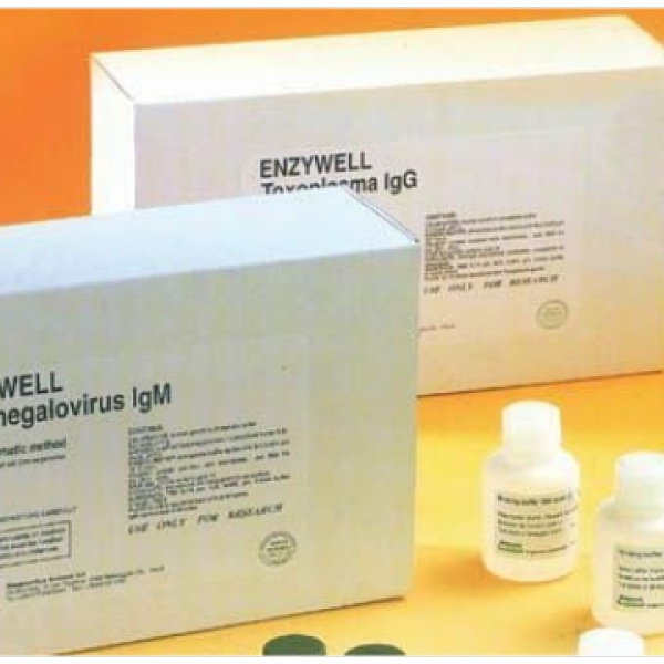 人松弛肽/松弛素(RLN)Elisa试剂盒