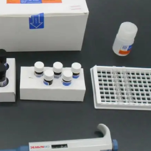 人Ⅱ型肺泡细胞表面抗原(KL-6)Elisa试剂盒
