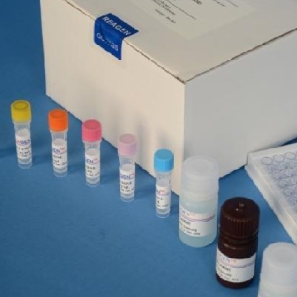 人抗利尿激素ELISA试剂盒
