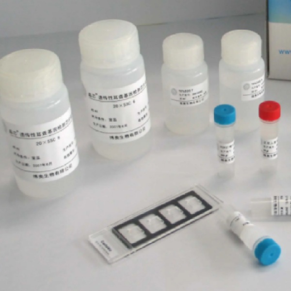 小鼠硫化氢(H2S)Elisa试剂盒