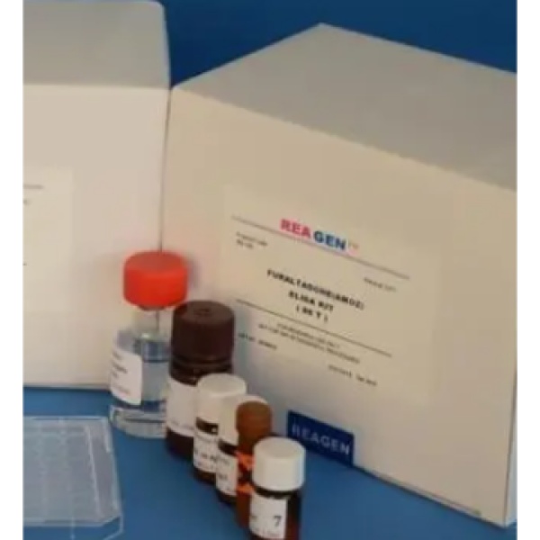 人白介素受体相关激酶(IRAK)Elisa试剂盒