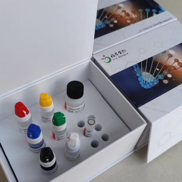 小鼠孕激素/孕酮(PROG)Elisa试剂盒