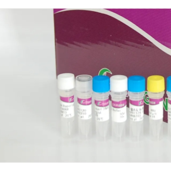 大鼠前列腺素F(PGF)Elisa试剂盒