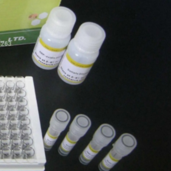 小鼠高敏三碘甲状腺原氨酸(u-T3)Elisa试剂盒