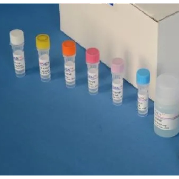 鸡ALV-Jgp85抗体(ALV-Jgp85Ab)Elisa试剂盒