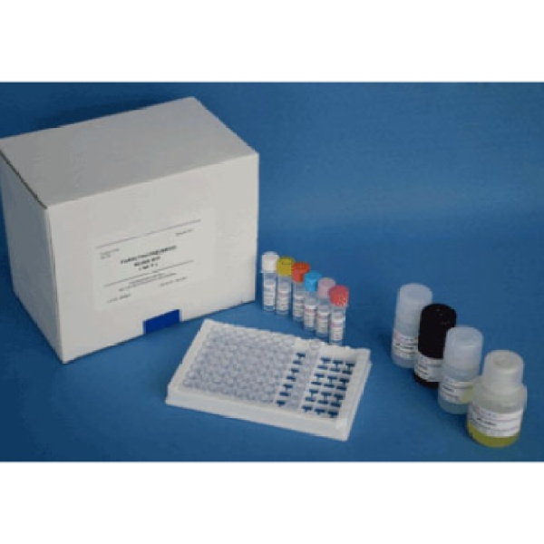 犬胆囊收缩素(CCK)ELISA检测试剂盒
