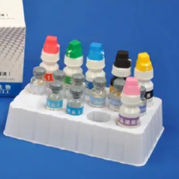 大鼠17β-羟基类固醇脱氢酶Ⅲ(17βHSDⅢ)Elisa试剂盒