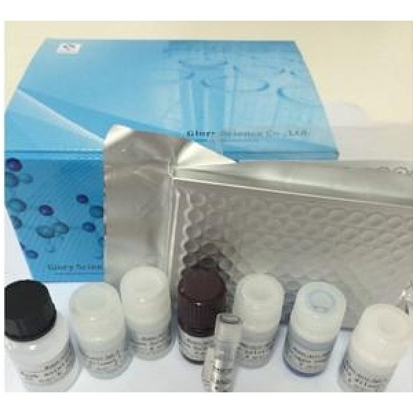 人可溶性血小板膜糖蛋白VI(sGPVI)Elisa试剂盒