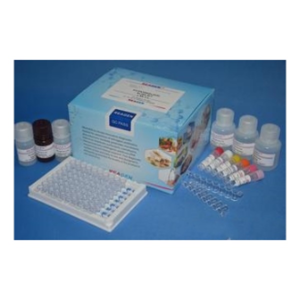 抗坏血酸过氧化物酶（APX）测试盒 微量法