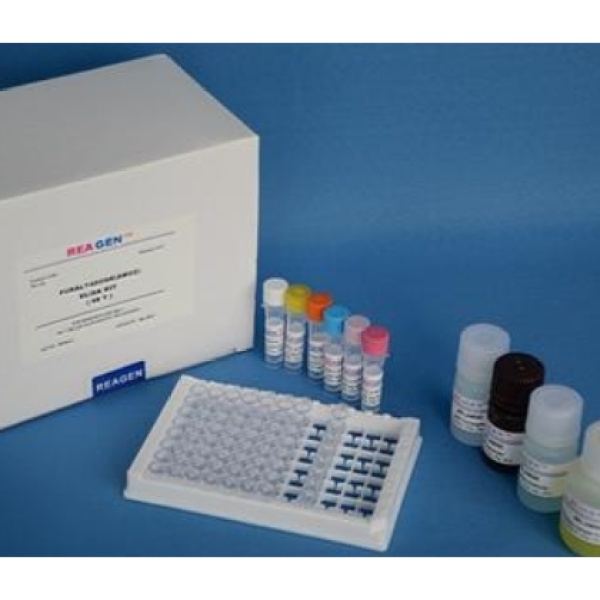 牛副流感病毒(PIV)Elisa试剂盒