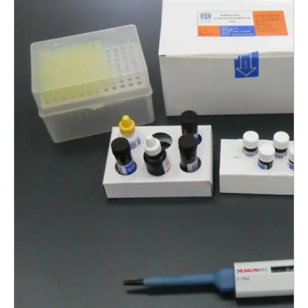 植物9-顺式环氧类胡萝卜素双加氧酶(NCED)Elisa试剂盒