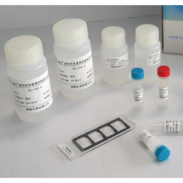 鱼类三碘甲状腺原氨酸(T3)Elisa试剂盒
