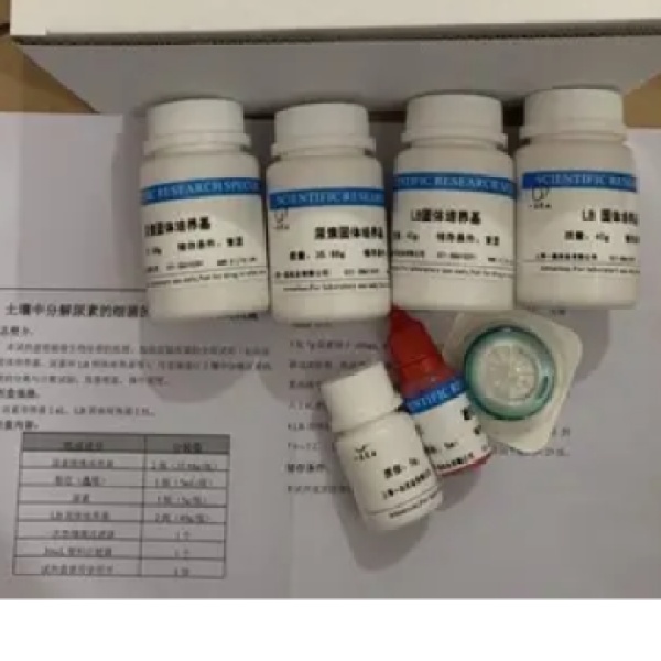 人类似cDNA顺序BC027382Elisa试剂盒