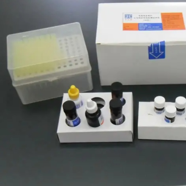 大鼠脱嘌呤/脱嘧啶核酸内切酶/氧化还原因子-1(APE1)Elisa试剂盒