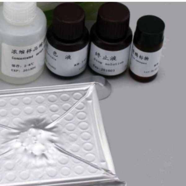 兔血管紧张素II(AngⅡ)Elisa试剂盒