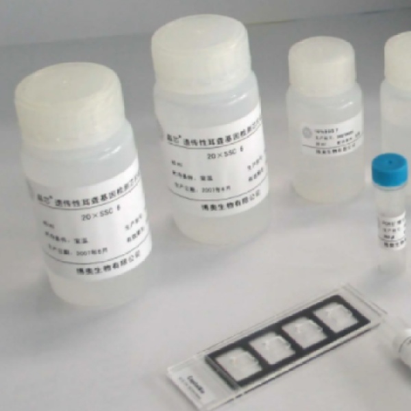 大鼠基质金属蛋白酶3(MMP-3)Elisa试剂盒