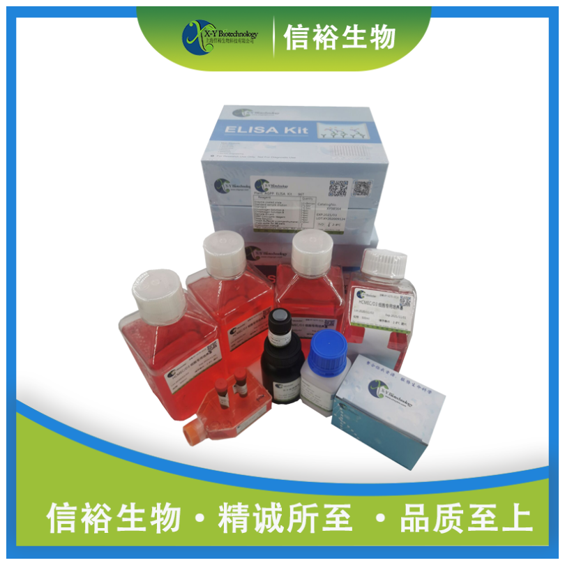 Mouse GAL4(Galectin 4) ELISA Kit XY9M1055