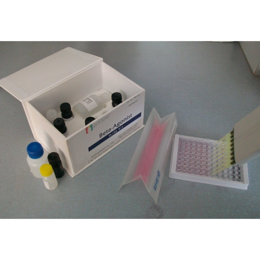 犬骨成型蛋白4(BMP4)ELISA检测试剂盒