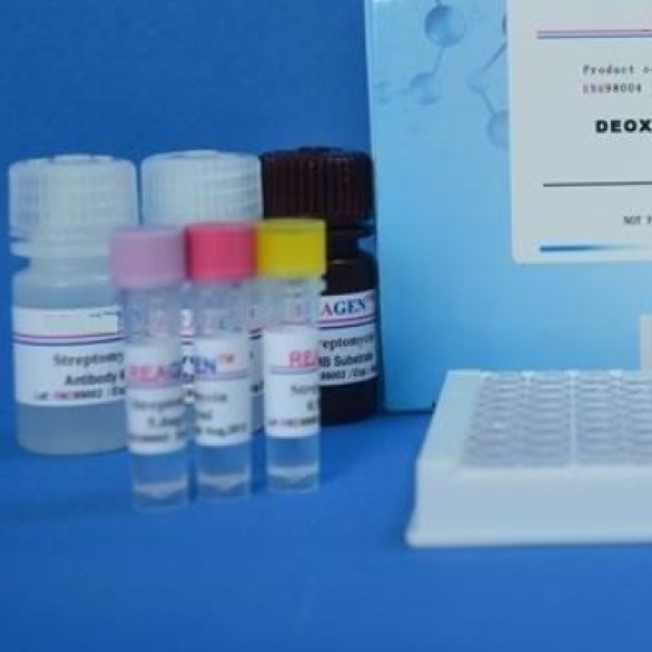 豚鼠γ干扰素(IFN-γ)Elisa试剂盒