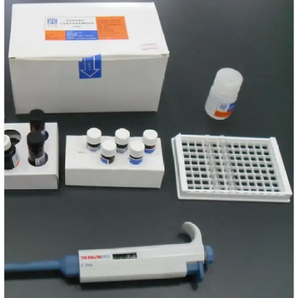 小鼠肉毒碱脂酰转移酶(CACT)Elisa试剂盒