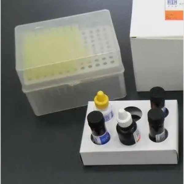 猪单核细胞增多性李斯特菌素O((LLO)Elisa试剂盒