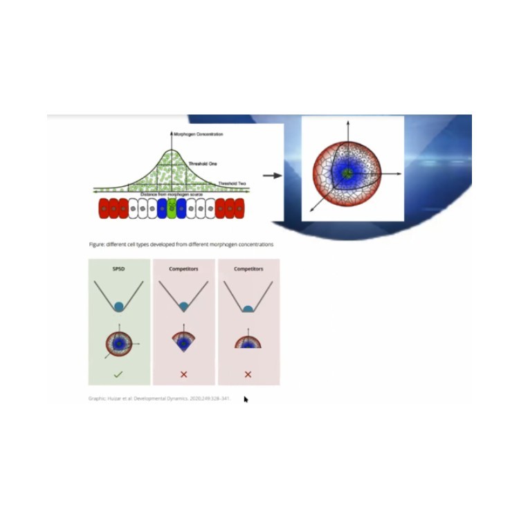 瑞士Kugelmeiers  Sphericalplate 5D 高通量3D 细胞培养板