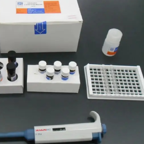 人空肠弯曲菌黏附蛋白(PEB1)Elisa试剂盒