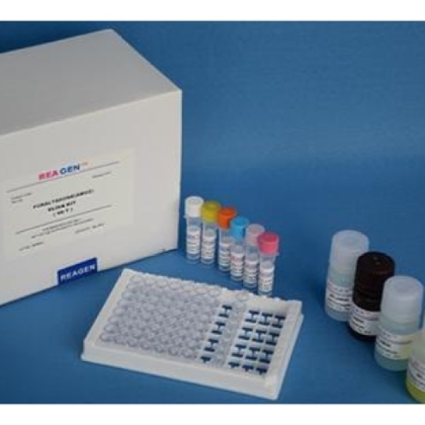 人黄嘌呤氧化还原酶(XOR)Elisa试剂盒