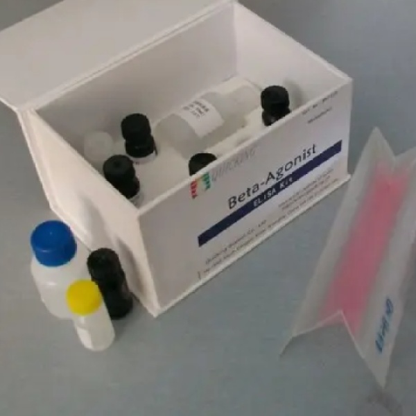人结缔组织生长因子(CTGF)Elisa试剂盒