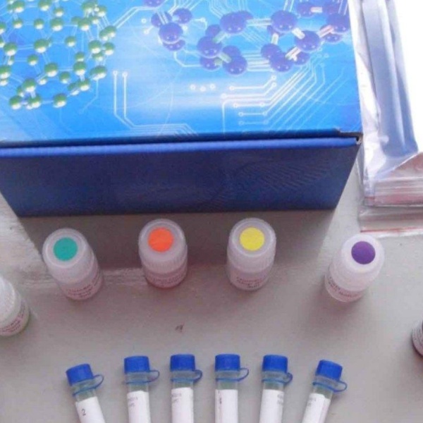 人血小板衍生生长因子BB(PDGF-BB)Elisa试剂盒