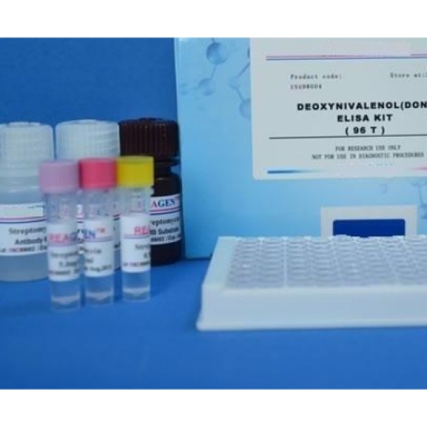 人肺表面活性物质相关蛋白B(SP-B)Elisa试剂盒