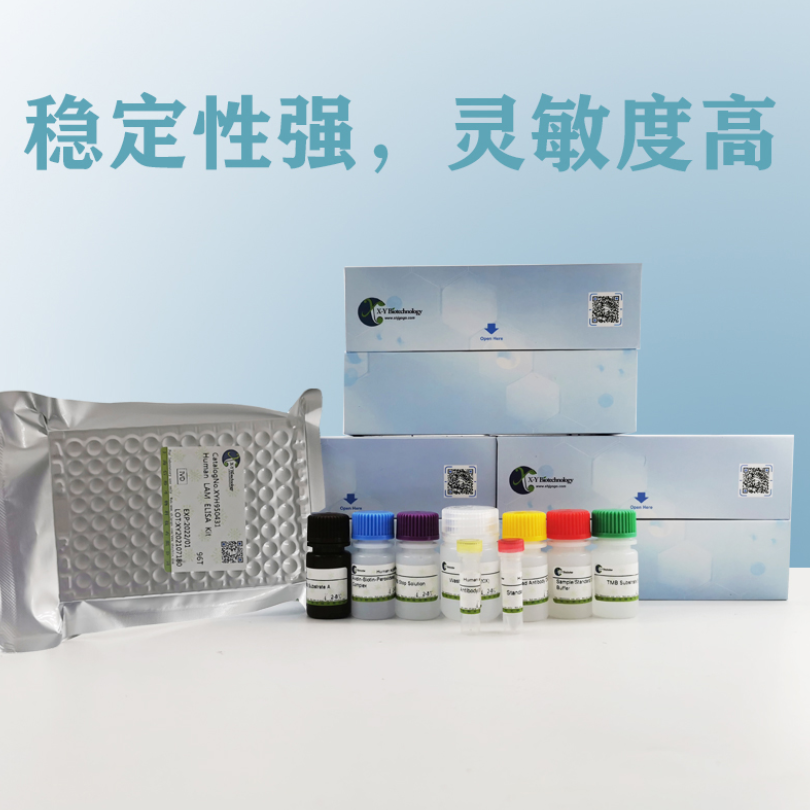 Human Indoxyl Sulphate(Indoxyl Sulphate) ELISA Kit XY9H3017