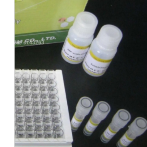 人胸腺活化调节趋化因子(TARC)Elisa试剂盒