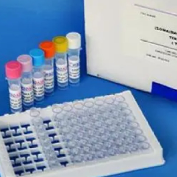 人中性粒细胞趋化因子-1(CINC-1)Elisa试剂盒