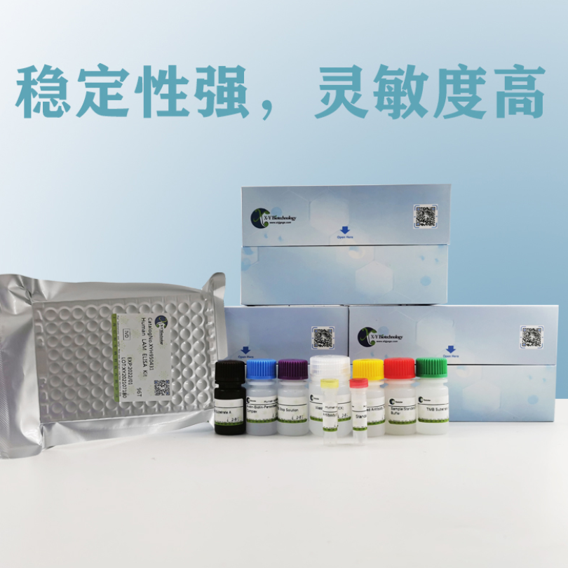 Human LRP1(Prolow-density lipoprotein receptor-related protein 1) ELISA Kit XY9H2084