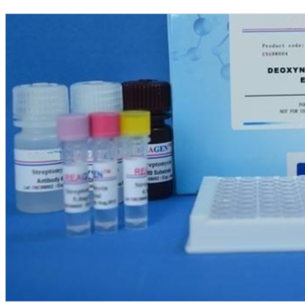 猪松弛肽/松弛素(RLN)Elisa试剂盒