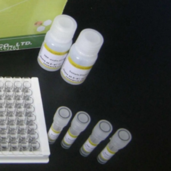 牛血清白蛋白(BSA)Elisa试剂盒