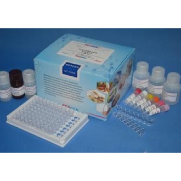 还原型谷胱甘肽（GSH）测试盒 可见分光光度法