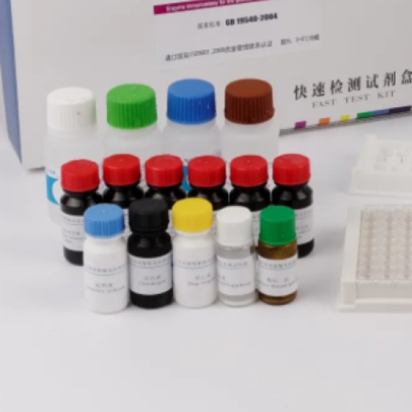 人酪氨酸激酶2(Tyk-2)Elisa试剂盒