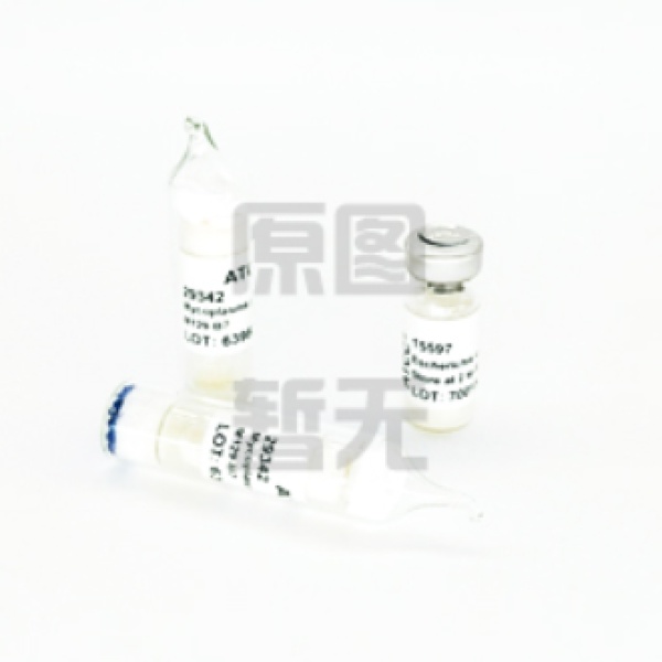 产缬曲杆菌 Oscillibacter valericigenes	 