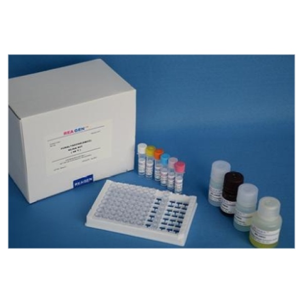 人副流感病毒2型(PIV-2)Elisa试剂盒