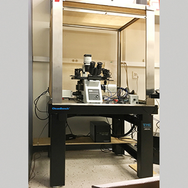 TMC CleanBench 高负载实验桌光学平台