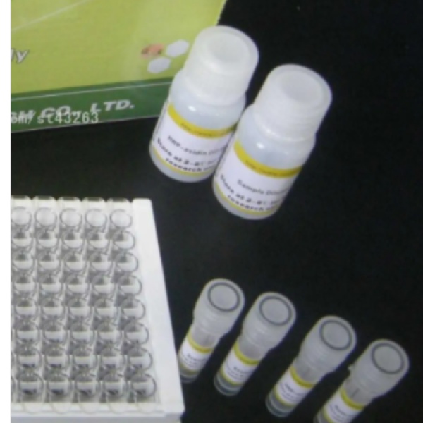 大肠杆菌宿主残留蛋白(E.coliP)Elisa试剂盒